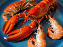 글루코사민 원료 바닷가재등