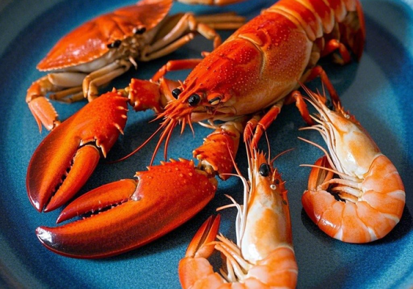 글루코사민 원료 바닷가재등