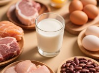 단백질보충제