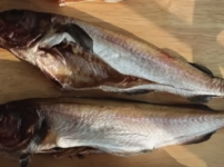 명태 살짝 건조된 상태