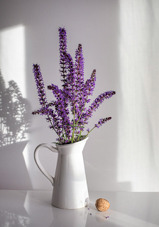 라벤다 화분