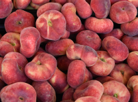 납작복숭아