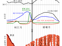 생리주기표