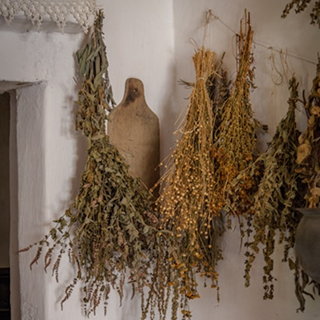 허브 건조하는 방법