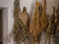 허브 건조하는 방법