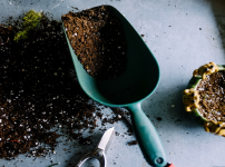 분갈이 흙