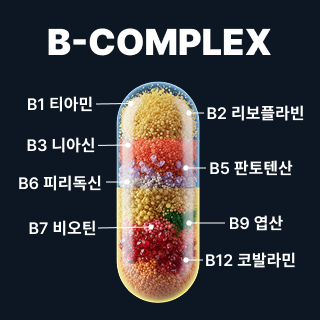 비타민B컴플렉스 성분 비타민B컴플렉스 성분