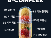 비타민B컴플렉스 성분