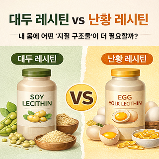 대두레시틴vs난황레시틴