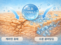 피부에 사용하는 요소의 작용 기전