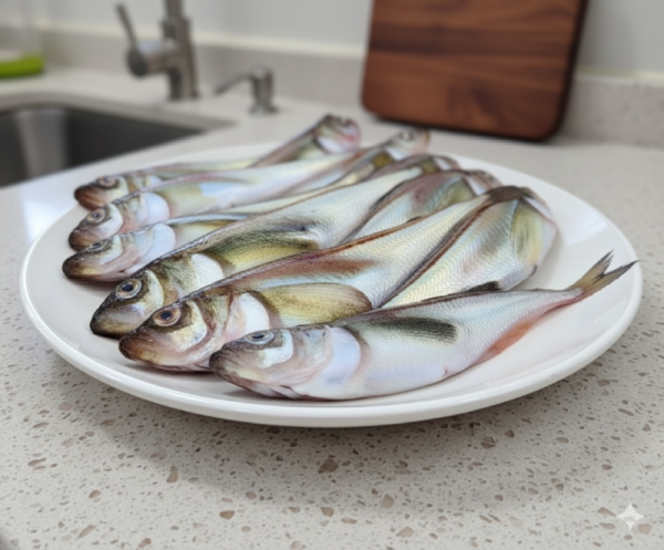1~2월 제철 생선 도루묵