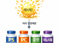 쪼개어진레시틴.png