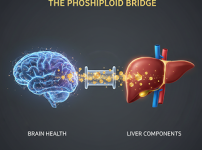 포스파티딜콜린의 작용기전