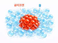 글리코겐+수분