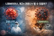 코로나바이러스와 니파바이러스 비교
