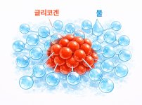 글리코겐+수분