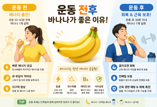 운동 전후 바나나 섭취 효과